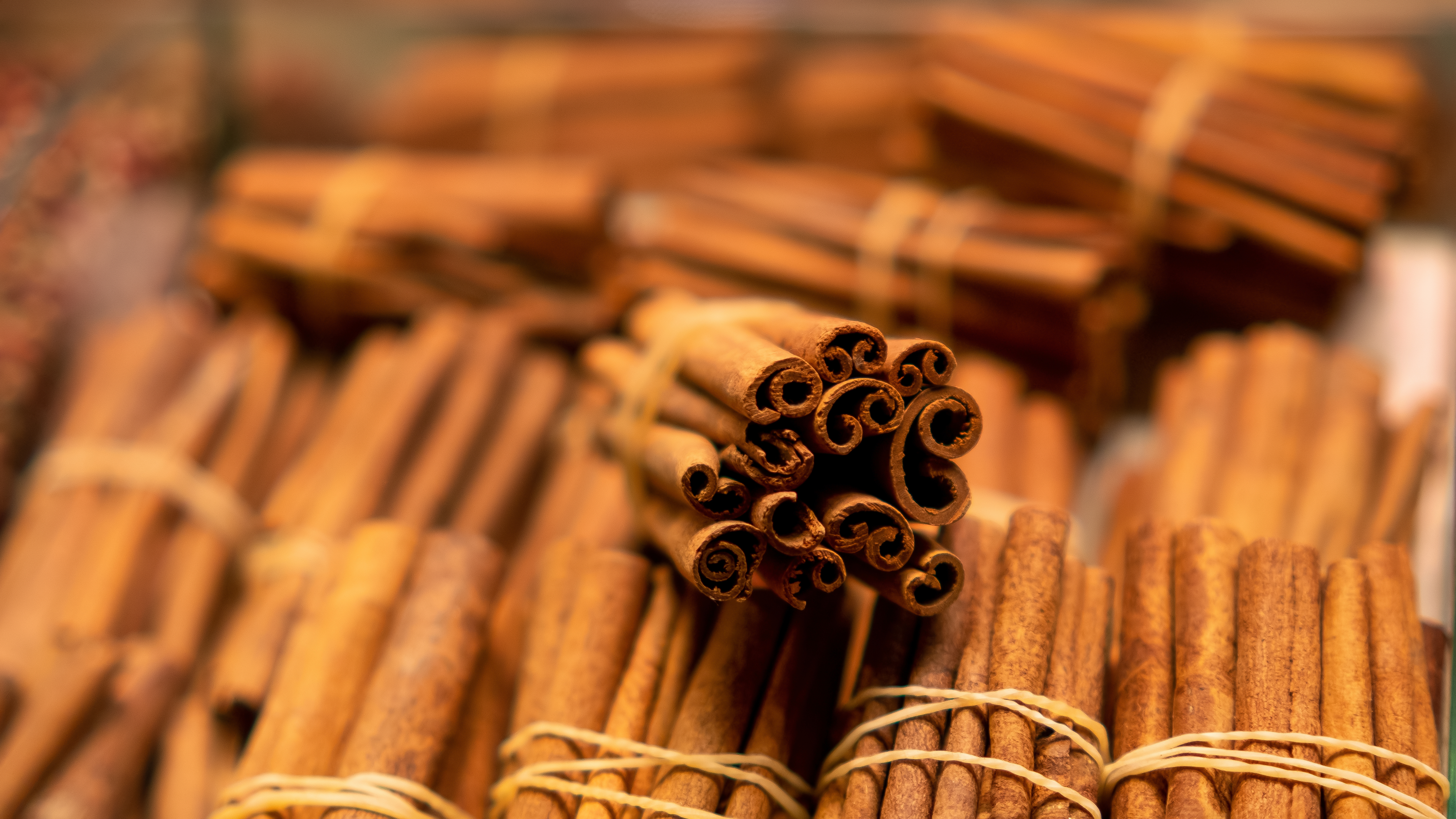 Cinnamon Harvest Season